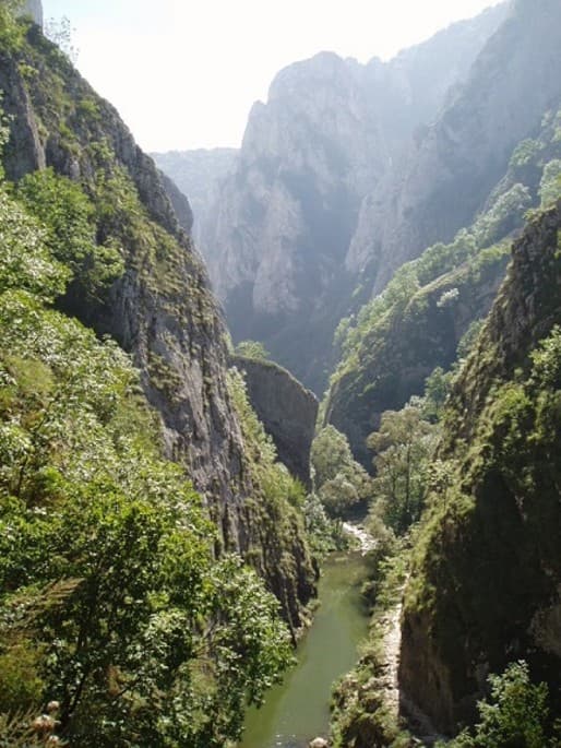 Cheile Turzii
