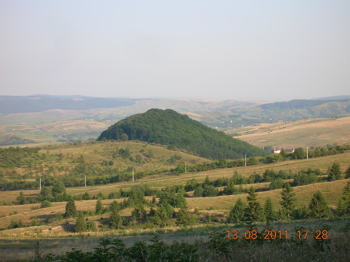 Codrii de Aramă