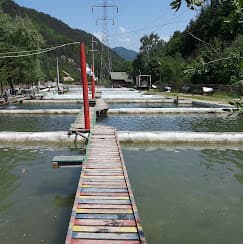 Păstrăvăria Cheița